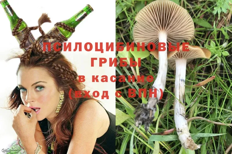 Псилоцибиновые грибы Magic Shrooms  Кемь 